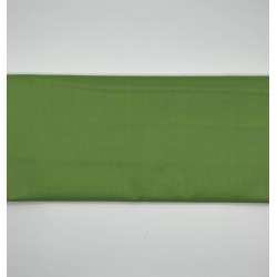 VERT POMME