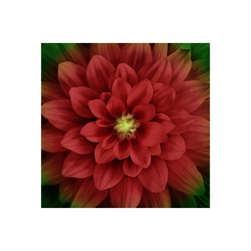 PANNEAU DAHLIA